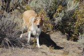 Enlarge photo 37
