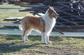 Enlarge photo 14