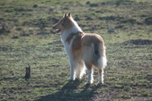 Enlarge photo 15