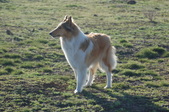 Enlarge photo 16
