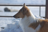 Enlarge photo 32
