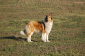 Enlarge photo 18