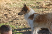 Enlarge photo 35