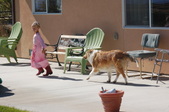 Paradise Valley Millie