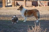 Enlarge photo 4