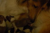 Enlarge photo 11