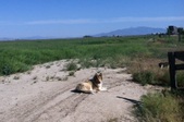 Enlarge photo 32