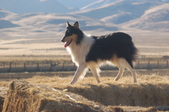 Enlarge photo 20