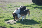 Enlarge photo 30
