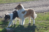 Enlarge photo 32