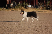 Enlarge photo 21