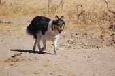 Enlarge photo 12