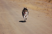 Enlarge photo 11