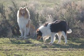 Enlarge photo 31