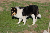 Enlarge photo 34