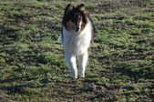 Enlarge photo 36