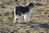 Enlarge photo 37