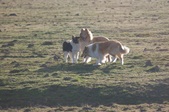 Enlarge photo 33