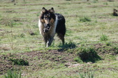 Enlarge photo 26