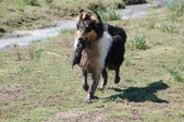 Enlarge photo 29