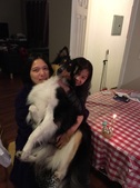 Enlarge photo 9