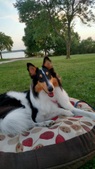 Enlarge photo 15