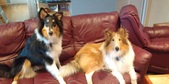 Enlarge photo 13