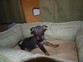 Enlarge photo 3