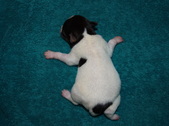 Enlarge photo 1