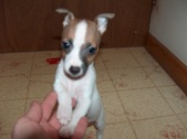 Enlarge photo 14