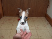 Enlarge photo 13