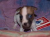 Enlarge photo 7