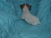Enlarge photo 1