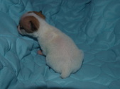 Enlarge photo 3