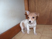 Enlarge photo 10