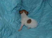 Enlarge photo 3