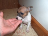 Enlarge photo 9