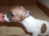 Enlarge photo 11