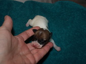 Enlarge photo 2