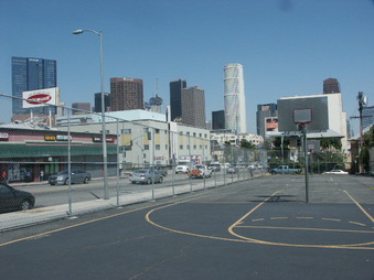 Enlarge photo 45