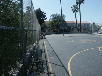 Enlarge photo 53