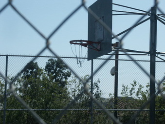 Enlarge photo 64