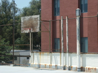 Enlarge photo 33