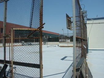 Enlarge photo 46