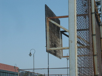 Enlarge photo 47