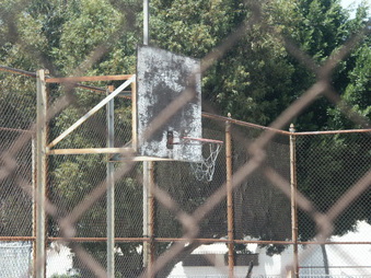 Enlarge photo 50
