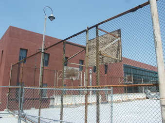 Enlarge photo 57