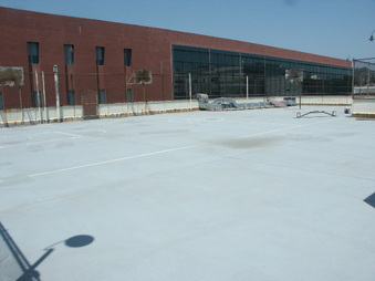 Enlarge photo 65