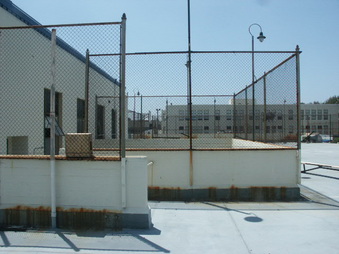 Enlarge photo 74