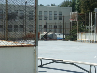 Enlarge photo 75